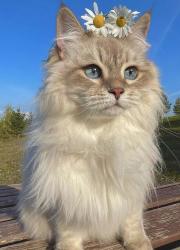 User Profile: TESSa111111111