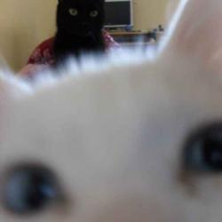 User Profile: meme2618