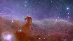 User Profile: NebulaLover