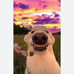 User Profile: imgud001