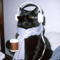 User Profile: Tanushaaa