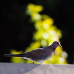 User Profile: rejuvenated01