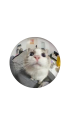 User Profile: Moonj3llyfish