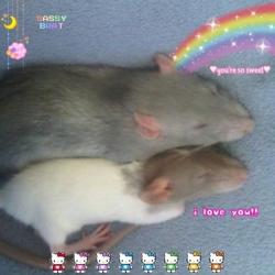User Profile: iplaytoomanypixelatedgames