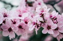 User Profile: Heaveniscold
