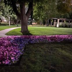 User Profile: LilcrowsDead