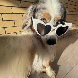 User Profile: rospiz
