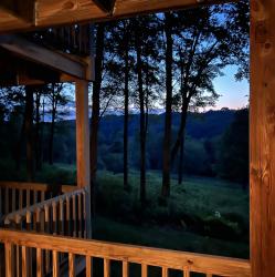 User Profile: MaryInthetrees
