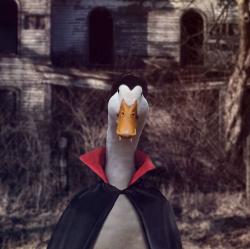 User Profile: DarkerPlaces
