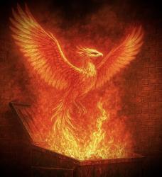 User Profile: ScottYhePhoenix