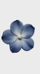 clayyzu profile picture