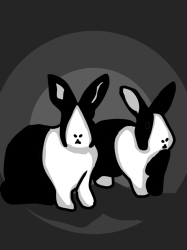 User Profile: terrenceafton