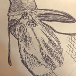 User Profile: Lemnop2023
