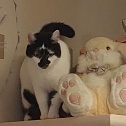 User Profile: LeoorImogen1278