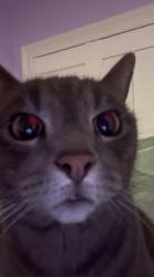 User Profile: Y0urDarl1ng