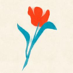 User Profile: SinghySing18