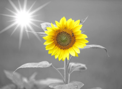User Profile: MySunnyShine48