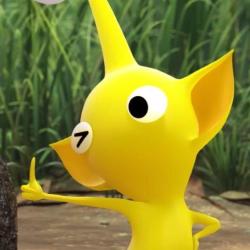 User Profile: Lightlemonlime