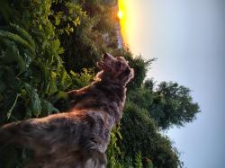 User Profile: zac607