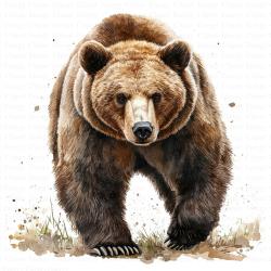 User Profile: JerseyGrizzly1970