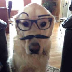 User Profile: setthhhhhh