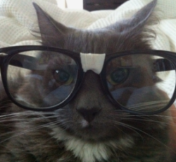 User Profile: ducktective