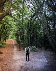 User Profile: IntuitiveHuman0032