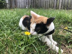 User Profile: GalaxyDreamer28