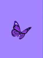 User Profile: SarcasticallyWitty10