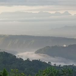 User Profile: kuling
