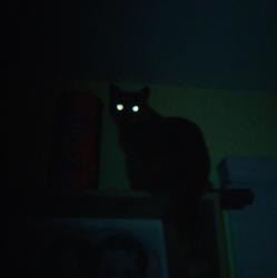 User Profile: xNightDemon
