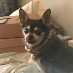 User Profile: AnotherPlainJane