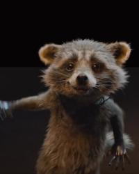 User Profile: BabyRaccoon7