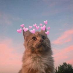 User Profile: scarletSpring8060