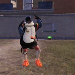 User Profile: courageouspanda333