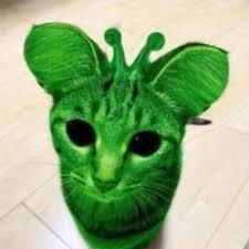 User Profile: basilpilled
