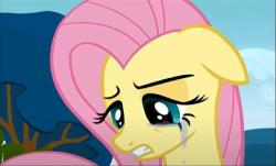 User Profile: fluttershy22