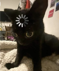 User Profile: tidyCranberry5039