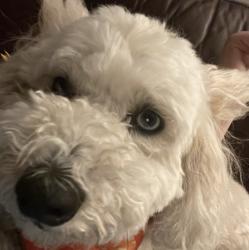 User Profile: Onion08