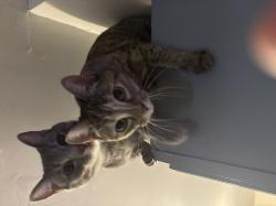 User Profile: PeachPuppy