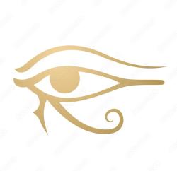 User Profile: decisiveChestnut2395