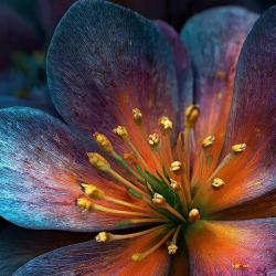 User Profile: TheNarsimha