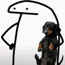 LullabyRainbow profile picture