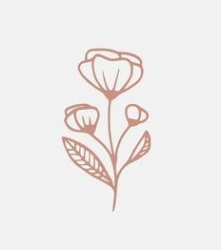User Profile: silverphoenix07