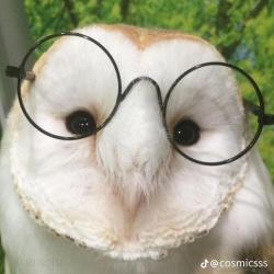 User Profile: scmeeerrr
