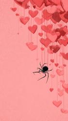 User Profile: Nephila