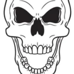User Profile: friendlySouth7689