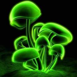 User Profile: TheOnyx33