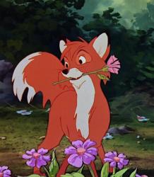 User Profile: fairytoto