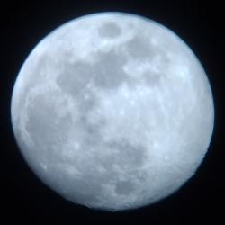 User Profile: 4oreverStar361